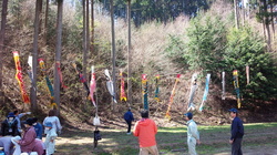 IMG_20150426_093328.jpg