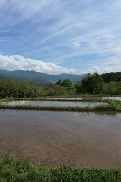 P1045813.JPG