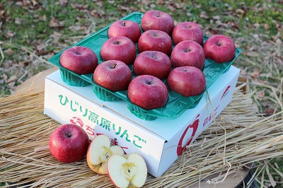 特定非営利活動法人おみごとサンふじりんご