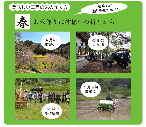greenA_05.gif